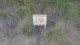 Thumbs/tn_L1010625.jpg