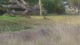 Thumbs/tn_L1010626.jpg