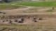 Thumbs/tn_L1010630.jpg
