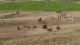 Thumbs/tn_L1010631.jpg